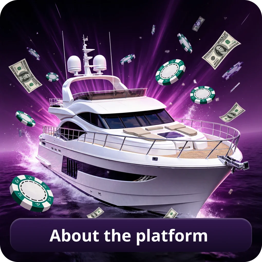 About the Platform