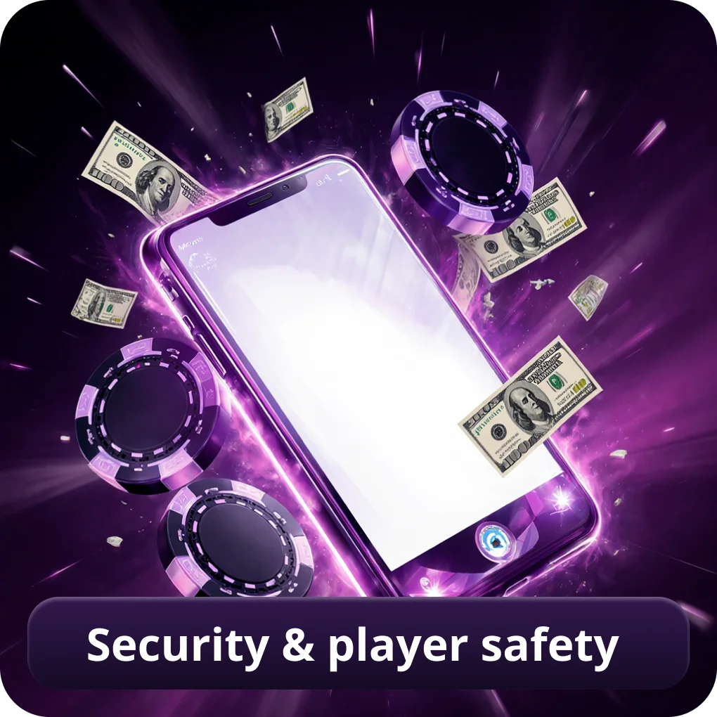 Security &amp; Player Safety